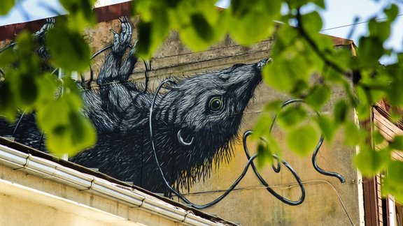 roa3