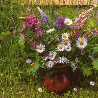 Tematiskas pļavas ziedu un augu kompozīcijas vasaras saulgriežu svinībām