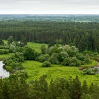 Опрос: единственный плюс Латвии в сравнении с Западной Европой — экология