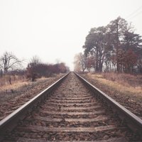 Литовские железные дороги объявили конкурс на работы по восстановлению участка путей в Реньге