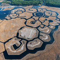 Foto: Brīnišķais Engures ezera musturs no putna lidojuma