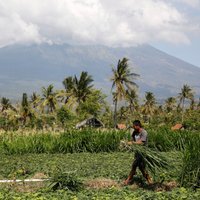 Iespējamā vulkāna izvirduma dēļ Bali evakuējušies 57 000 cilvēku