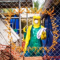 Латвия выделит денег на борьбу с Эболой