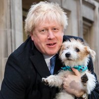 Премьер Великобритании и мэр Лондона взяли на избирательные участки своих собак