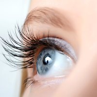 Синдром сухого глаза: кого посещает чаще и как с ним бороться?