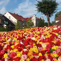 Венок из роз, цветочная лодка и остановка мечты: В эти выходные в Тукумсе пройдет Праздник роз