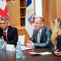 Мамыкин встретился с президентом и премьером Грузии