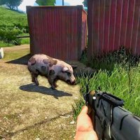 Ушаков о кабанах: Far Cry и GTA со свиньями на Югле устраивать не будем