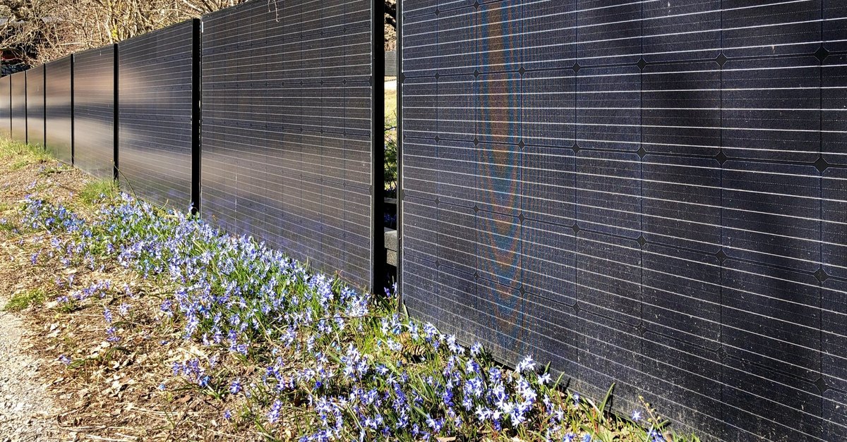 Solcellepaneler er blitt så billige at de i Europa brukes i stedet for gjerder