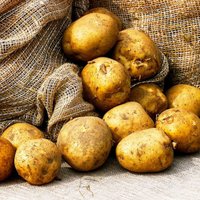 Trīs gardi kartupeļu ēdieni