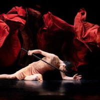 Театр балета Бориса Эйфмана покажет рижанам "Эффект Пигмалиона"