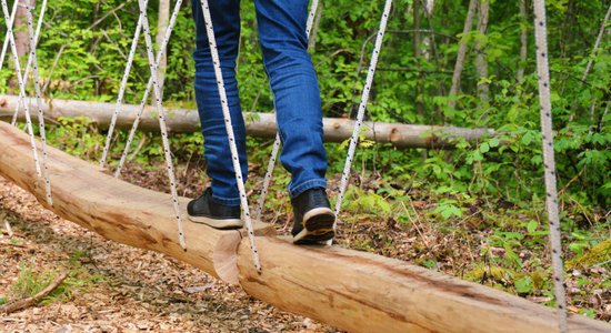 Meža klavieres, kukaiņu viesnīca un prieks – ko izbaudīt Lustiņdruvas dabas takā