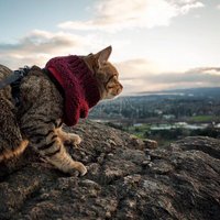 'Kempinga kaķi' – aktīva dzīvesveida piekritēji, kuriem patīk ceļot un gulēt teltīs