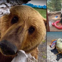 16 фото, которые доказывают, что медведи — это невероятно жуткие чудовища!