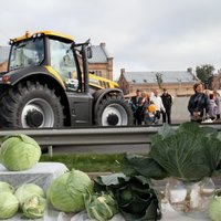 Akcija 'Lauki ienāk pilsētā' pulcē 30 000 cilvēku; Ušakovs grib nākamgad to atkārtot