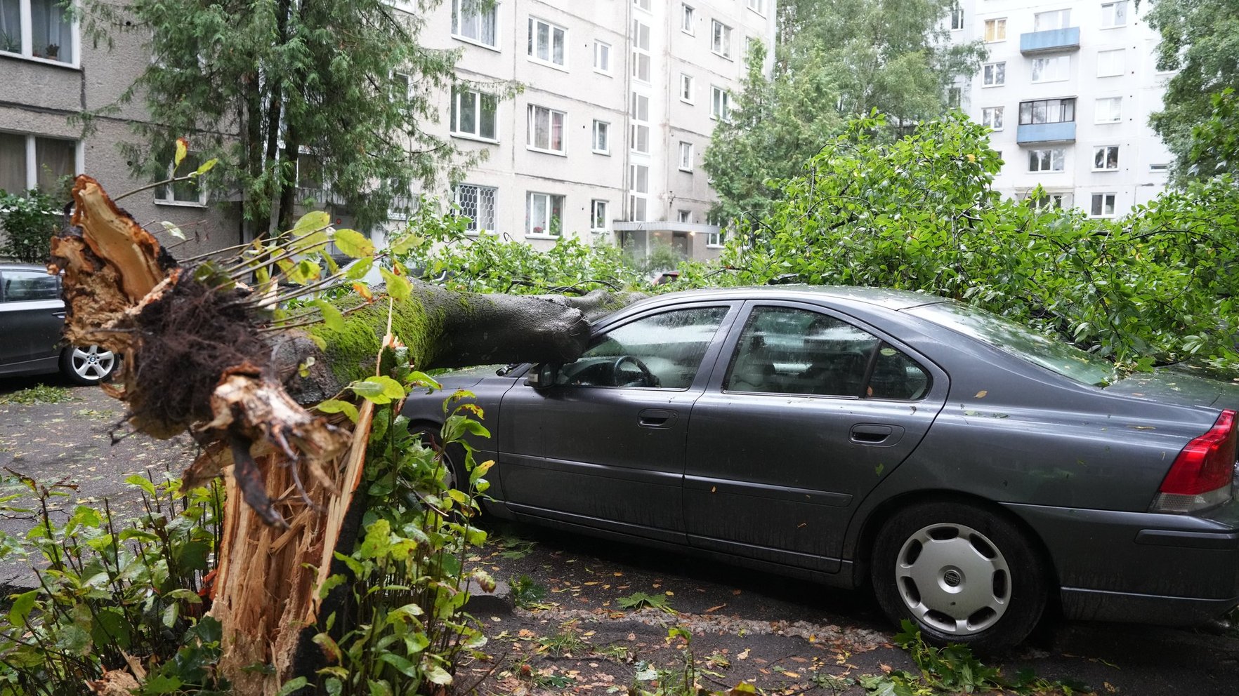 Thousands still without power in Latvia four days after severe storm