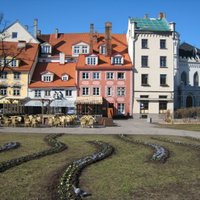 Rīgas dārzus un parkus rotā pirmās pavasara puķes