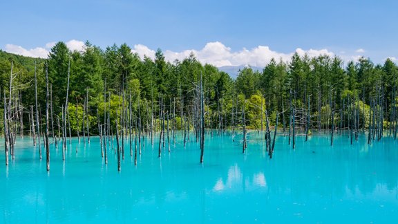 Shirogane Blue Pond, ezers, Japāna