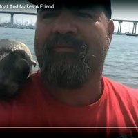 Video: Vīra un roņa pārsteidzošā satikšanās
