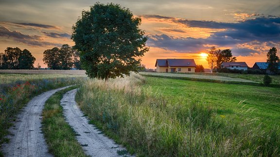 lauku māja, lauki, lauku īpašums, nekustamais īpašums