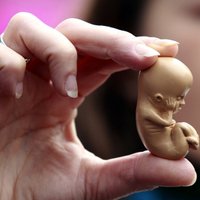 Впервые в мире родилась девочка после 24 лет заморозки в виде эмбриона