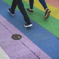 Организатор прайдов: в Латвии гомофобов мало, но они заметные