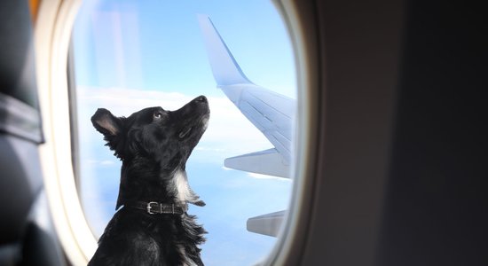 Поступок пилота AirBaltic взбудоражил интернет: "На такое способен не каждый!"