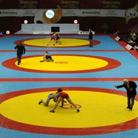 ВИДЕО: Борцы, тренеры и зрители устроили массовую драку на турнире в Краснодаре