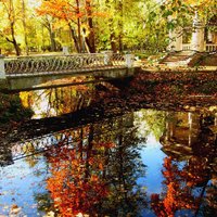 Mīlestības saliņā Daugavā atklās putnu vērošanas torni