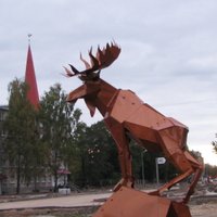 ФОТО: В Елгаве на одного лося стало больше