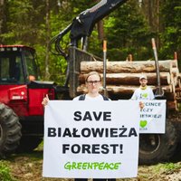 Ministrs: Polija turpinās meža darbus Belovežas gāršā