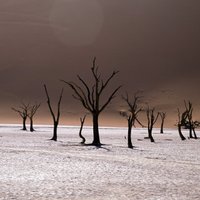 Ainava kā uz Mēness - pasaules augstākās tuksnesīgās kāpas Namībijā