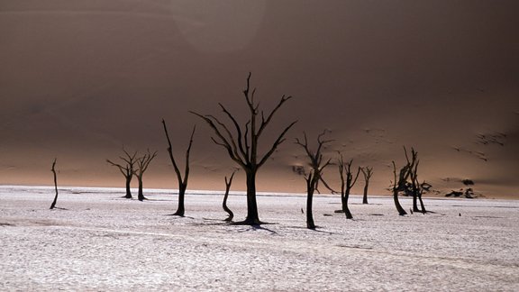 Deadvlei - 2