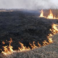 Pagājušajā diennaktī Latvijā notikuši 17 kūlas ugunsgrēki