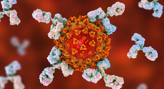 Эксперт: новый штамм вируса SARS-CoV-2 дойдет и до Латвии, но самое главное — быть готовыми реагировать