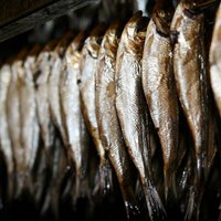 Латвийской рыбоконсервной отрасли грозит приостановка производства