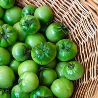 Pieredzes stāsts: kā ar ābolu ātrāk nogatavināt zaļus tomātus