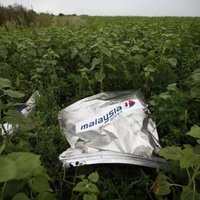 СМИ: в обломках "Боинга" рейса MH17 найден осколок ракеты "Бук" (ВИДЕО)