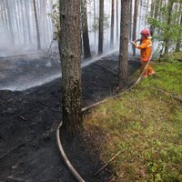 VUGD un meža dienests aicina ievērot ugunsdrošību mežos