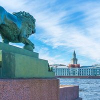 В Петербурге вслед за Калининградской областью введут электронные визы