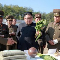 Reta atklātība: Ziemeļkoreja atzīst neveiksmes lauksaimniecībā