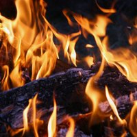 На пепелище в Даугавгриве пожарные обнаружили труп человека