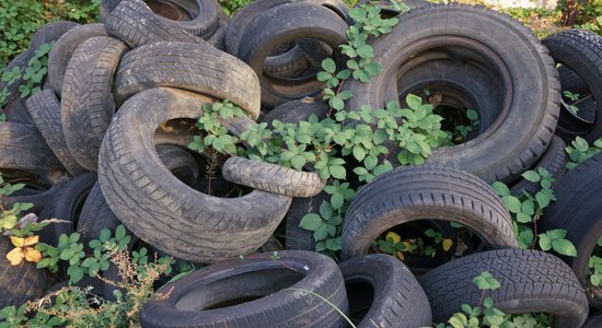 Предлагают ввести налоговые льготы для компаний, которые ответственно утилизируют шины