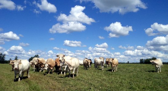 99% – Latvija ES līderos tiešo maksājumu izmaksā