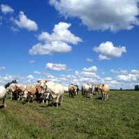 Lauksaimnieki pieprasīs Baltijas valstīm piešķir buferzonas statusu