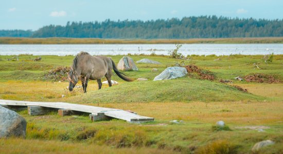 Idejas aktīvai un rāmai atpūtai pie Latvijas gleznainajiem ezeriem