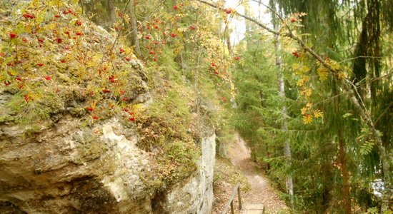 Rudens klasika: 5 skaisti maršruti velobraucienam vai pārgājienam Gaujas nacionālajā parkā