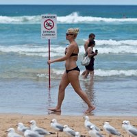 Закончилось самое жаркое лето в истории Австралии