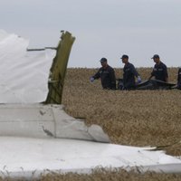 США поддержали выводы следствия: MH17 был сбит "Буком" российской армии