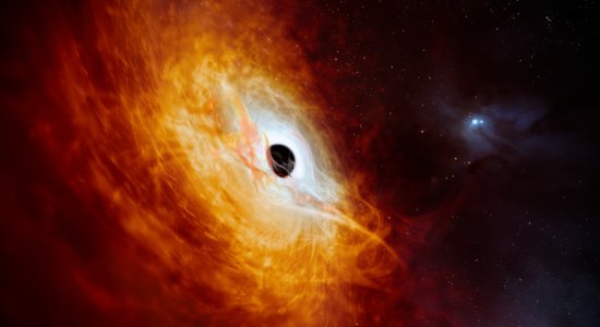 Астрономы обнаружили самую крупную в галактике черную дыру звездной массы. Она очень близко к Земле